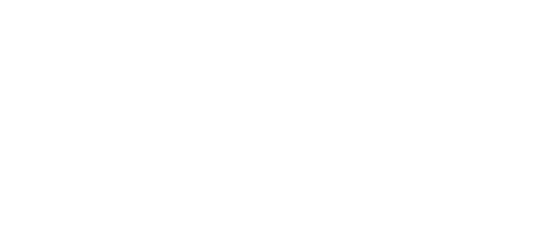 ACE Gestão